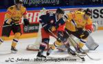Photo hockey reportage CHL : Litvinov suprieur collectivement