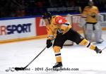Photo hockey reportage CHL : Litvinov suprieur collectivement