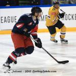 Photo hockey reportage CHL : Litvinov suprieur collectivement