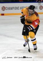 Photo hockey reportage CHL : Litvinov suprieur collectivement