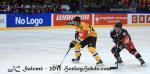 Photo hockey reportage CHL : Litvinov suprieur collectivement