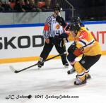 Photo hockey reportage CHL : Litvinov suprieur collectivement