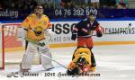 Photo hockey reportage CHL : Litvinov suprieur collectivement