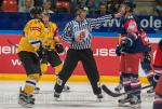 Photo hockey reportage CHL : Litvinov suprieur collectivement