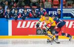 Photo hockey reportage CHL : Litvinov suprieur collectivement