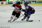 Photo hockey reportage CM09 - J-5 : Hongrie 