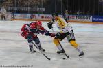 Photo hockey reportage Come back Coupe de France 2017 - Marine Romain