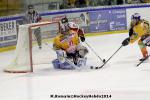 Photo hockey reportage Conti Cup : L'ogre ukrainien