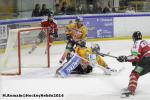 Photo hockey reportage Conti Cup : L'ogre ukrainien