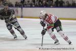 Photo hockey reportage Conti Cup : Les Dragons ont du cur.