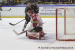 Photo hockey reportage Conti Cup : Les Dragons ont du cur.