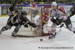 Photo hockey reportage Conti Cup : Les Dragons ont du cur.
