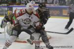 Photo hockey reportage Conti Cup : Les Dragons ont du cur.