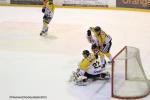 Photo hockey reportage Continental Cup J2 Match 4 : Et de deux