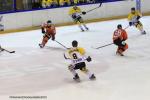 Photo hockey reportage Continental Cup J3 Match 6 : Victoire et qualification.