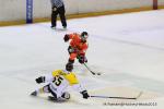 Photo hockey reportage Continental Cup J3 Match 6 : Victoire et qualification.
