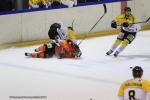 Photo hockey reportage Continental Cup J3 Match 6 : Victoire et qualification.