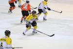 Photo hockey reportage Continental Cup J3 Match 6 : Victoire et qualification.