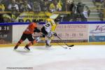 Photo hockey reportage Continental Cup J3 Match 6 : Victoire et qualification.