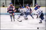 Photo hockey reportage D2 - Clermont VS Paris en photos 2019-03-02
