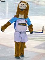 Photo hockey reportage D3 Carr Final : Anglet - Vanoise