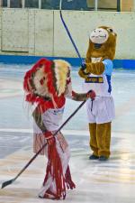 Photo hockey reportage D3 Carr Final : Anglet - Vanoise