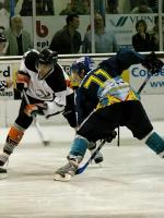 Photo hockey reportage Dijon / Tours : Article en ligne