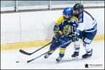 Photo hockey reportage Elite Fminine - Evry Viry vs Tours