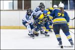Photo hockey reportage Elite Fminine - Evry Viry vs Tours