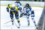 Photo hockey reportage Elite Fminine - Evry Viry vs Tours