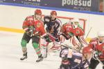 Photo hockey reportage Espoirs Elite : Grenoble - Mont Blanc