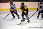 Photo hockey reportage Fem Elite : Besanon teint les Brleuses