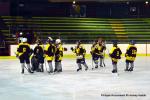 Photo hockey reportage Fem Elite : Besanon teint les Brleuses
