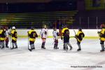 Photo hockey reportage Fem Elite : Besanon teint les Brleuses