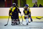 Photo hockey reportage Fem Elite : Besanon tte de liste