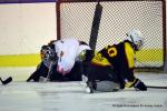 Photo hockey reportage Fem Elite : Bis repetita