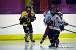 Photo hockey reportage Fem Elite : Bis repetita