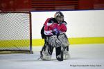 Photo hockey reportage Fem Elite : Bon dpart des Bisontines