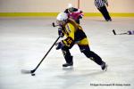 Photo hockey reportage Fem Elite : Bon dpart des Bisontines
