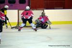 Photo hockey reportage Fem Elite : Bon dpart des Bisontines