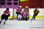 Photo hockey reportage Fem Elite : Bon dpart des Bisontines