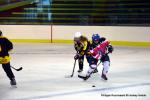 Photo hockey reportage Fem Elite : Bon dpart des Bisontines