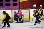 Photo hockey reportage Fem Elite : Bon dpart des Bisontines