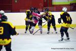 Photo hockey reportage Fem Elite : Bon dpart des Bisontines
