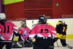 Photo hockey reportage Fem Elite : Bon dpart des Bisontines