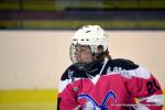 Photo hockey reportage Fem Elite : Bon dpart des Bisontines