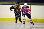 Photo hockey reportage Fem Elite : Bon dpart des Bisontines