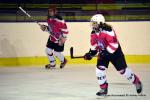 Photo hockey reportage Fem Elite : Bon dpart des Bisontines