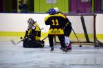 Photo hockey reportage Fem Elite : Bon dpart des Bisontines