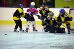 Photo hockey reportage Fem Elite : Bon dpart des Bisontines